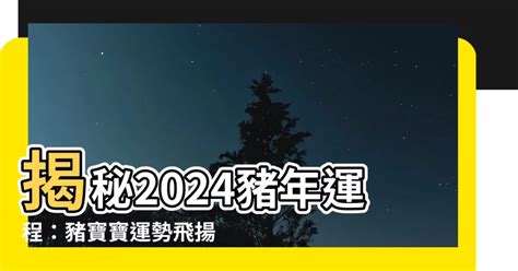 2024豬年運程1959|2024 肖豬流年運程 